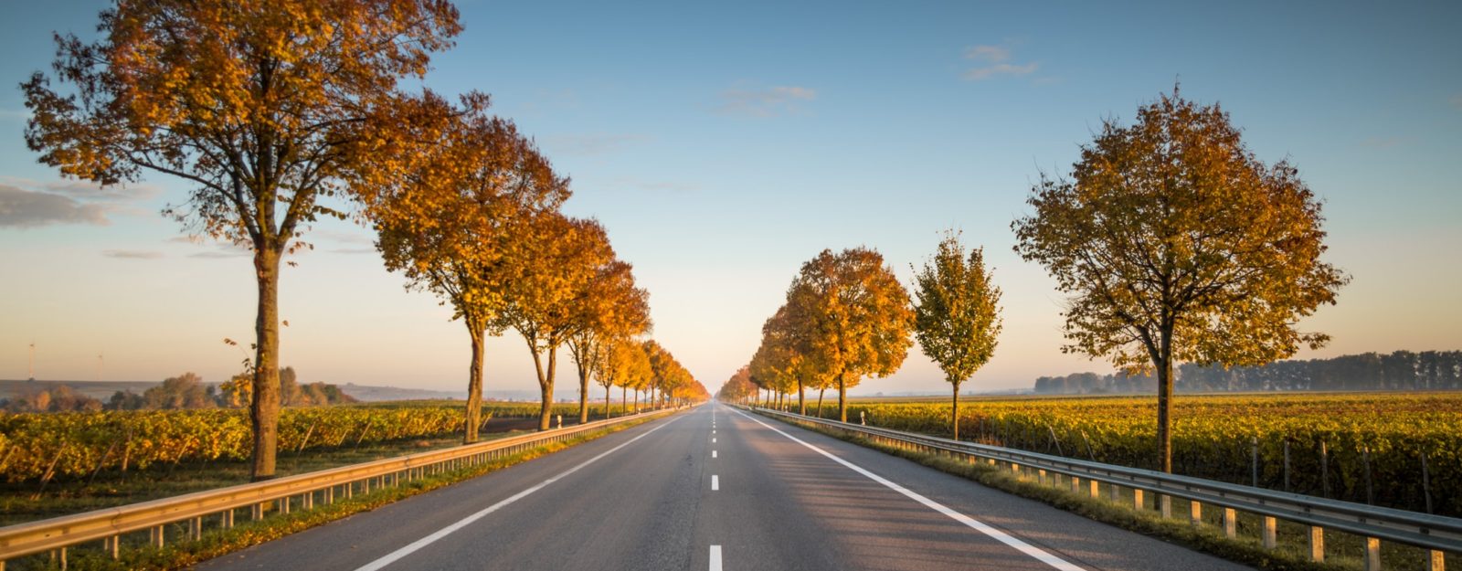 Photo d'une route